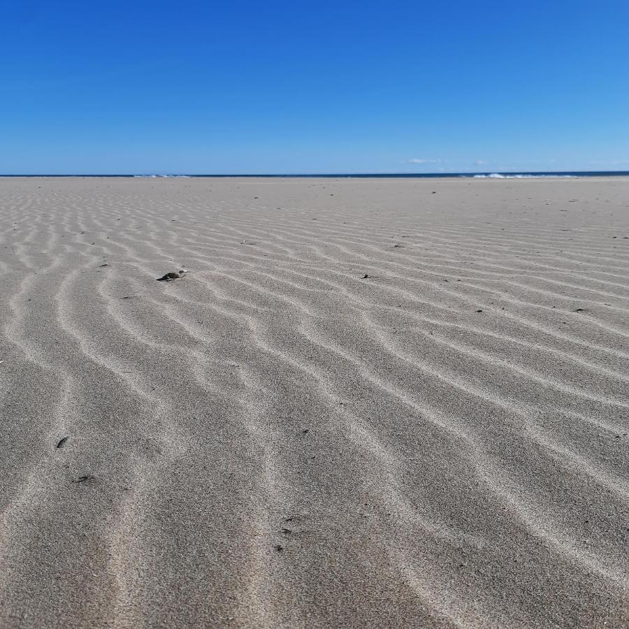Fivestepstosea - Beach Apartment Valenza Esterno foto